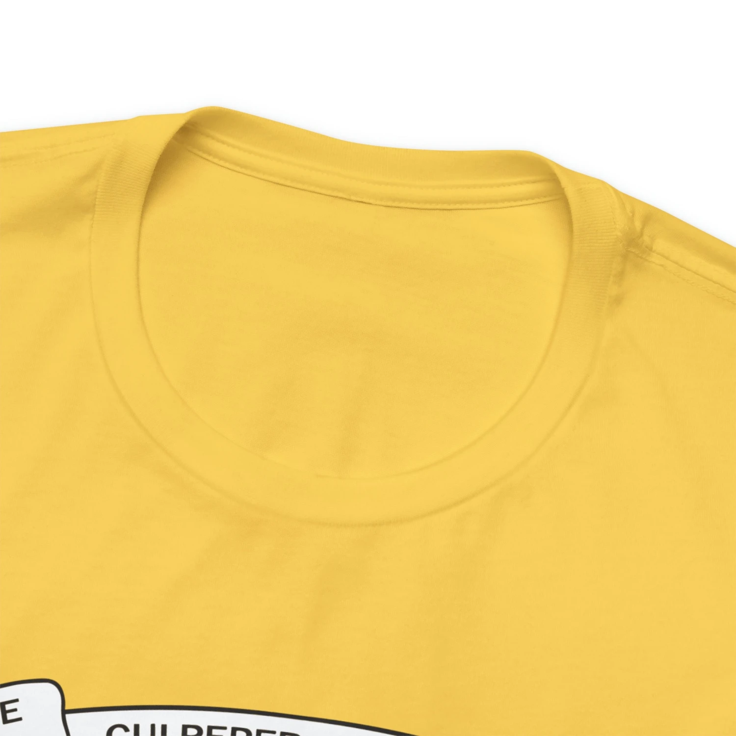 The Culpeper Minute Men Flag T Shirt: Bella + Canvas 3001 - Image 20