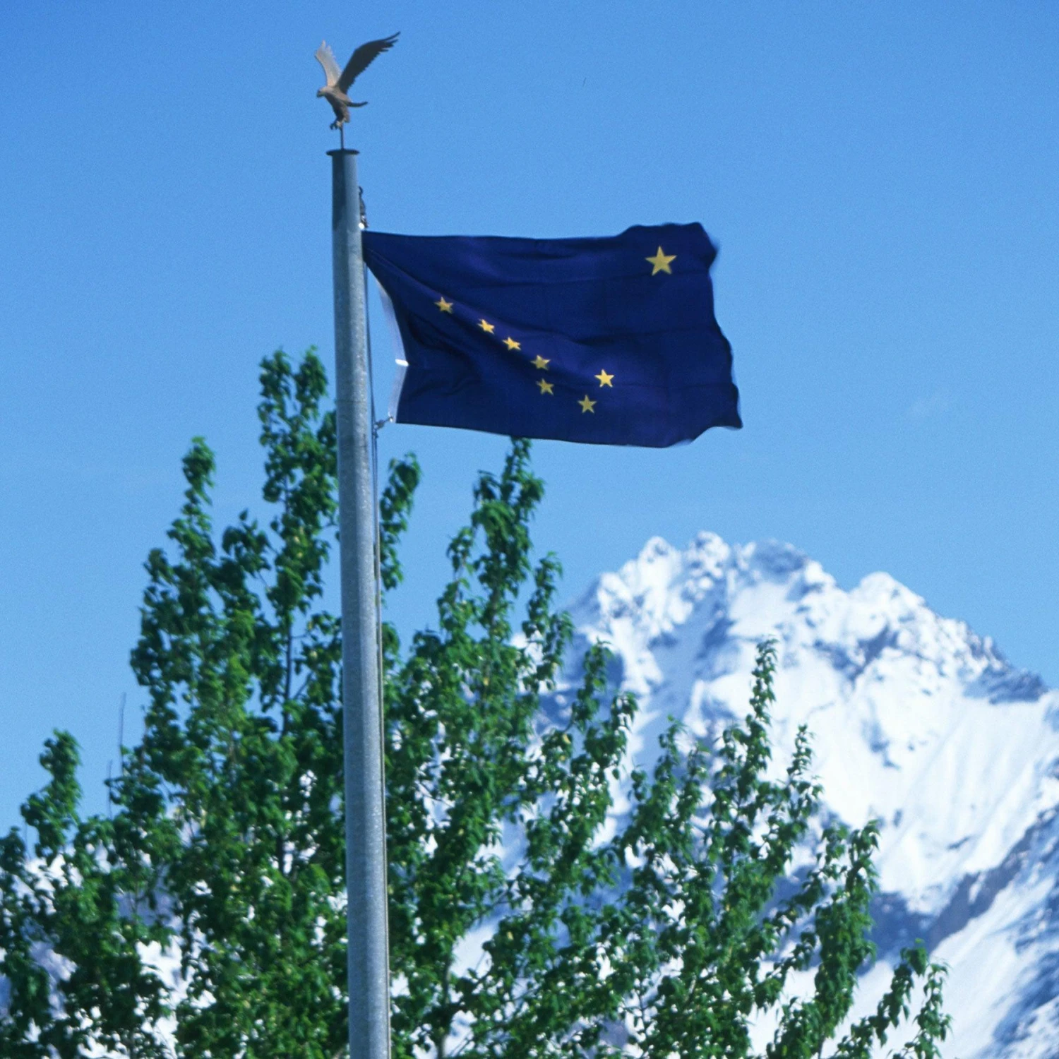 Alaska Flag - Image 3