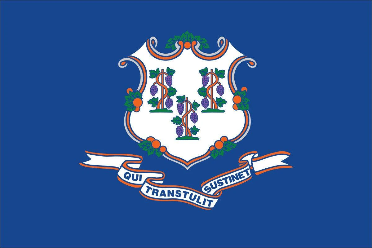 Connecticut Flag - Image 2