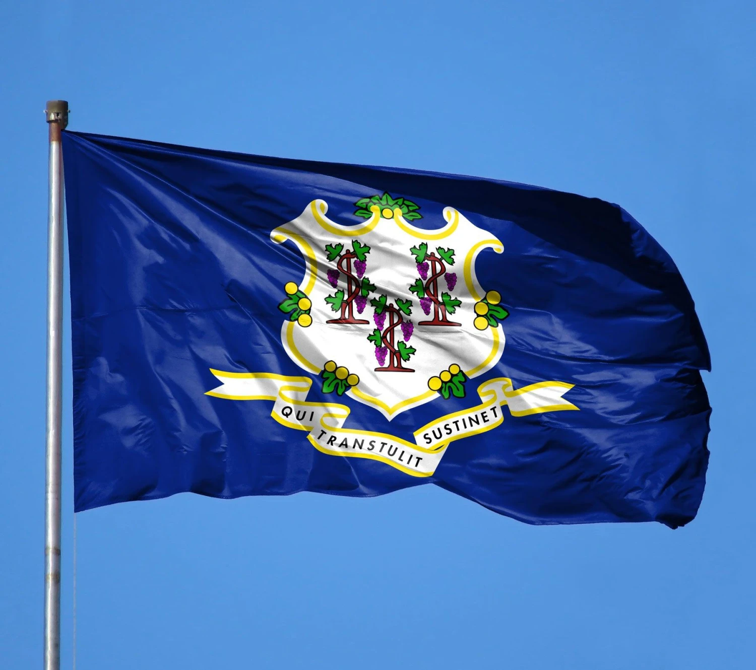 Connecticut Flag - Image 3