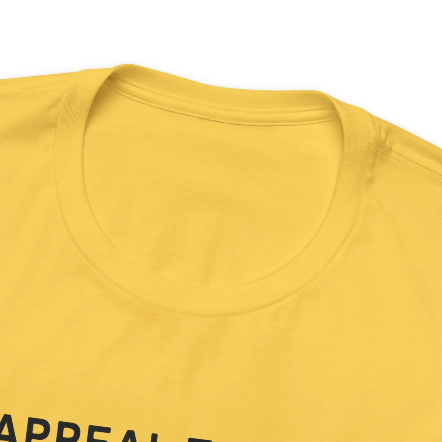 An Appeal To Heaven T Shirt: Bella + Canvas 3001 - Image 20