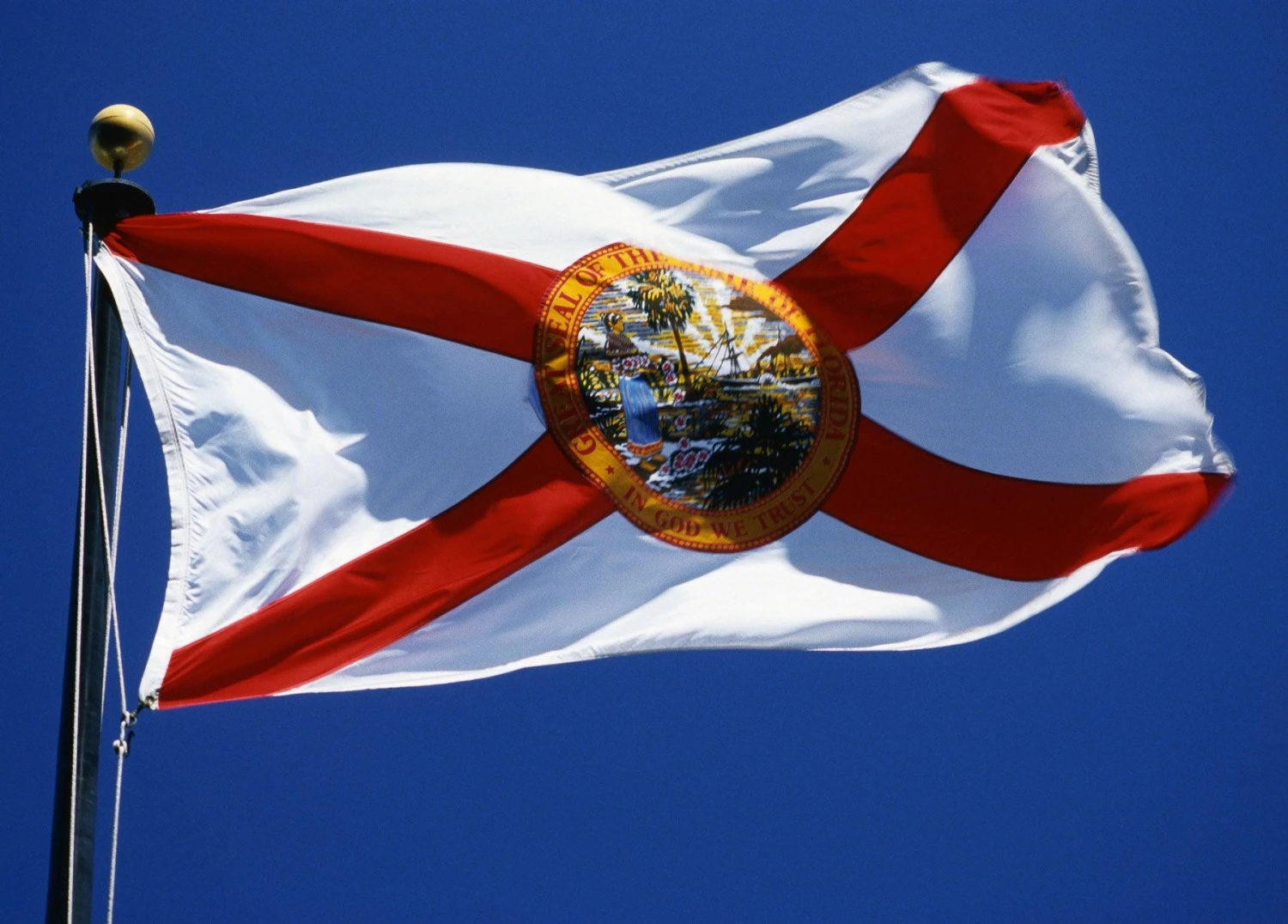Florida Flag - Image 3