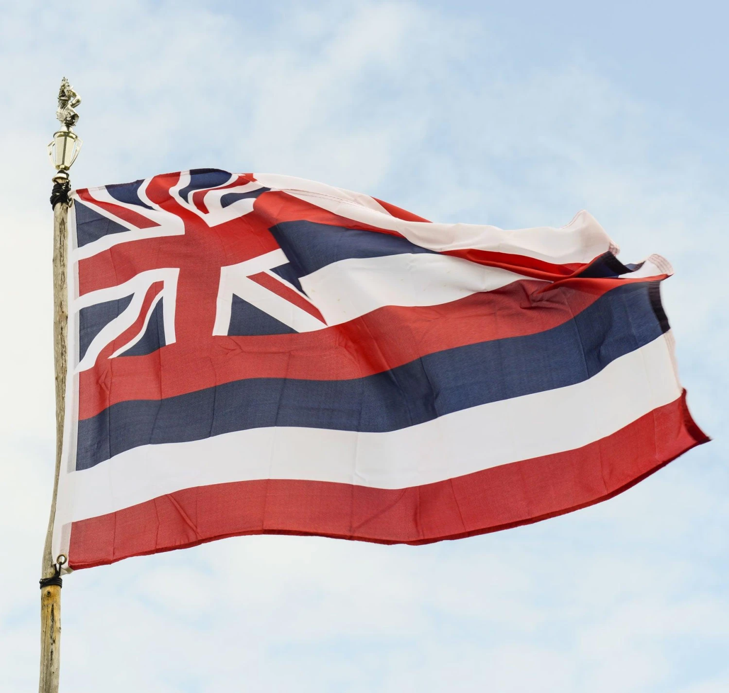 Hawaii Flag - Image 3