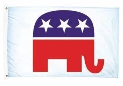 Lightweight Printed Republican Flag