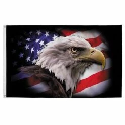 America Strong Eagle Flag