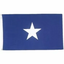 Bonnie Blue Flags - Assorted Sizes