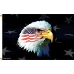 Patriotic American Eagle Flag