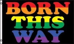 Born This Way Flag