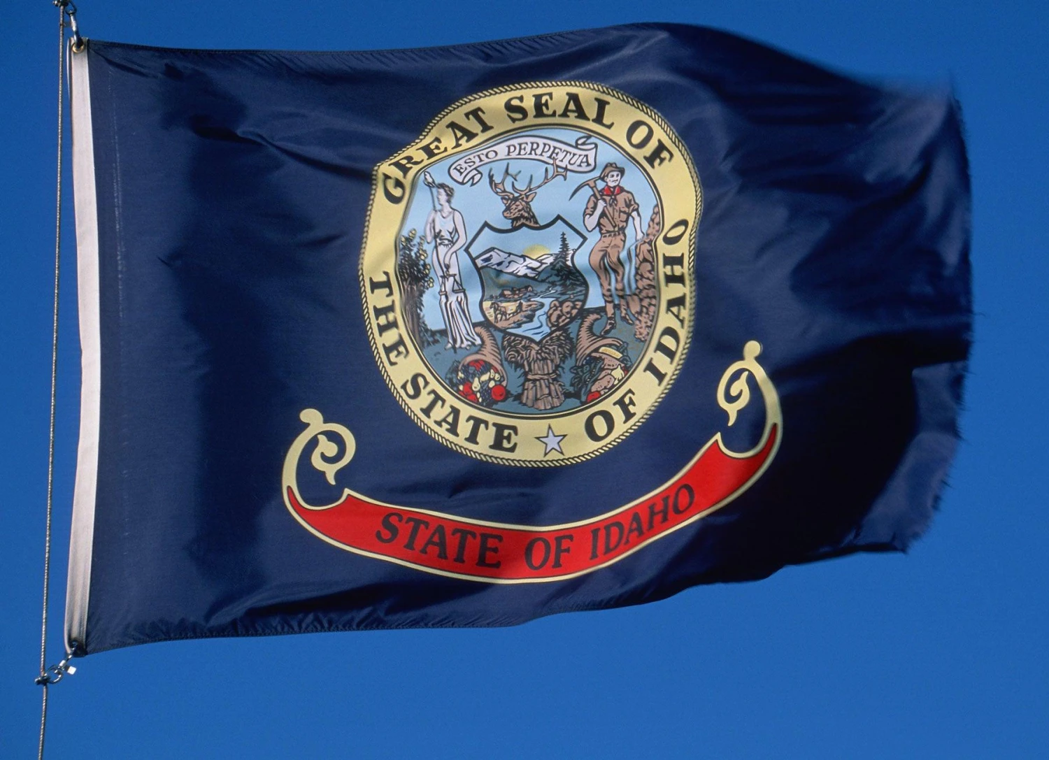 Idaho Flag - Image 3
