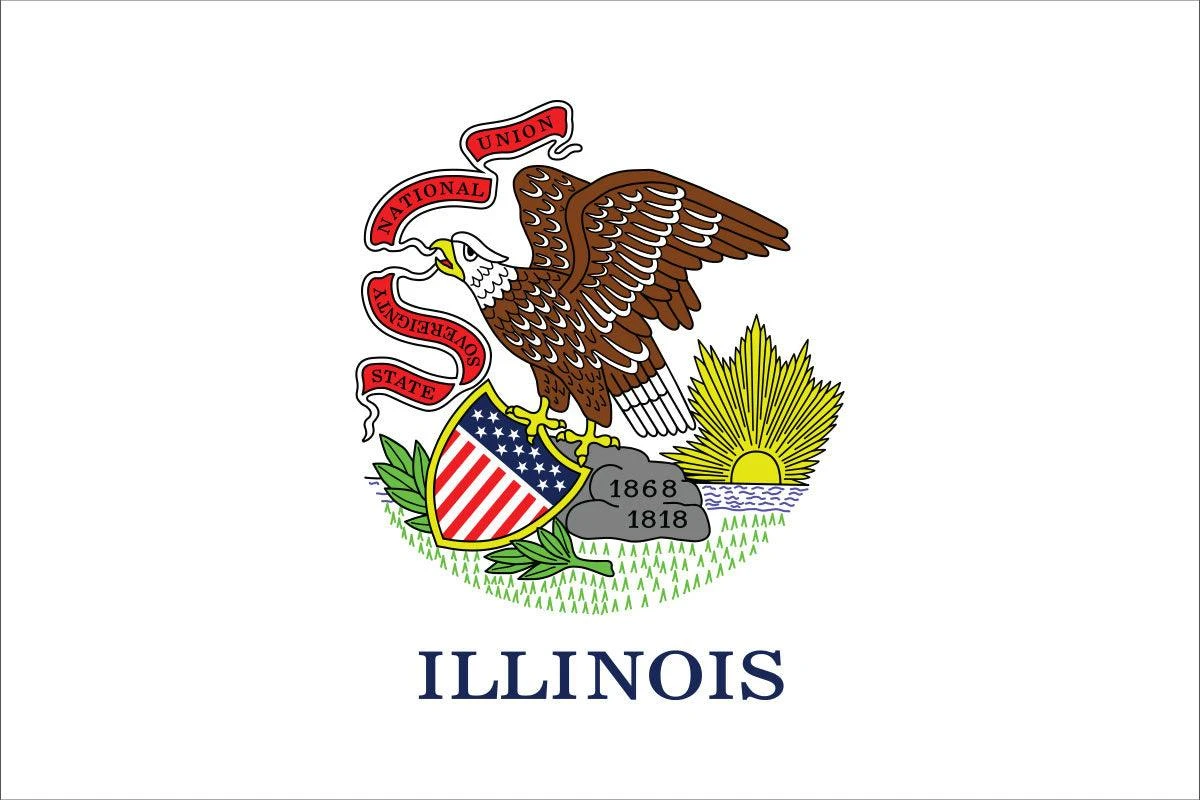 Illinois Flag - Image 2