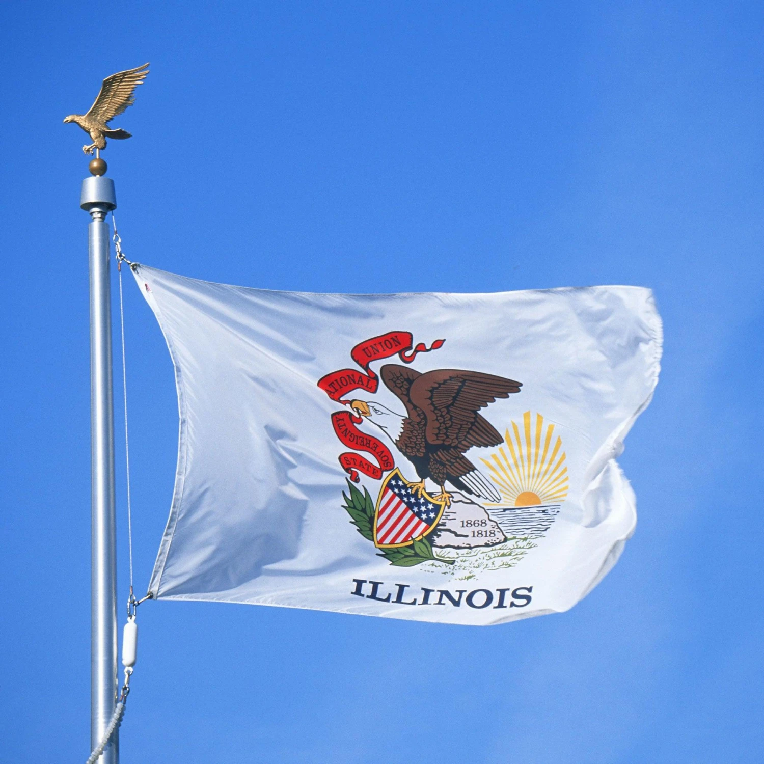 Illinois Flag - Image 3