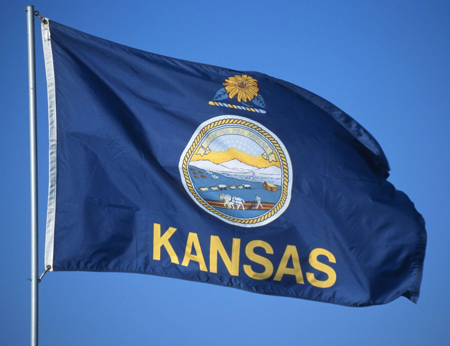 Kansas Flag - Image 3