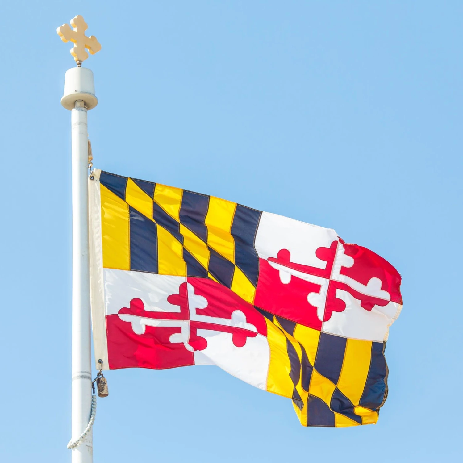 Maryland Flag - Image 3