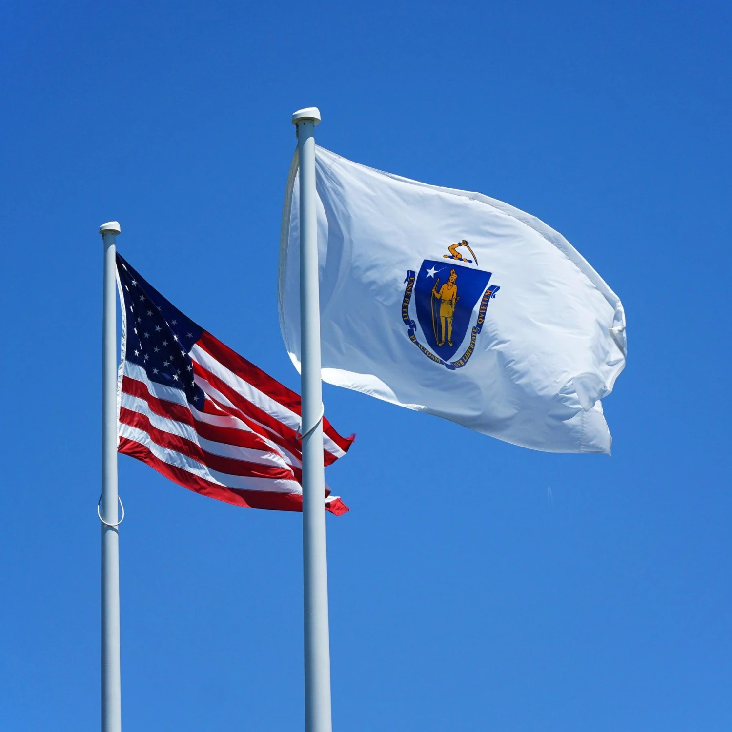 Massachusetts Flag - Image 3