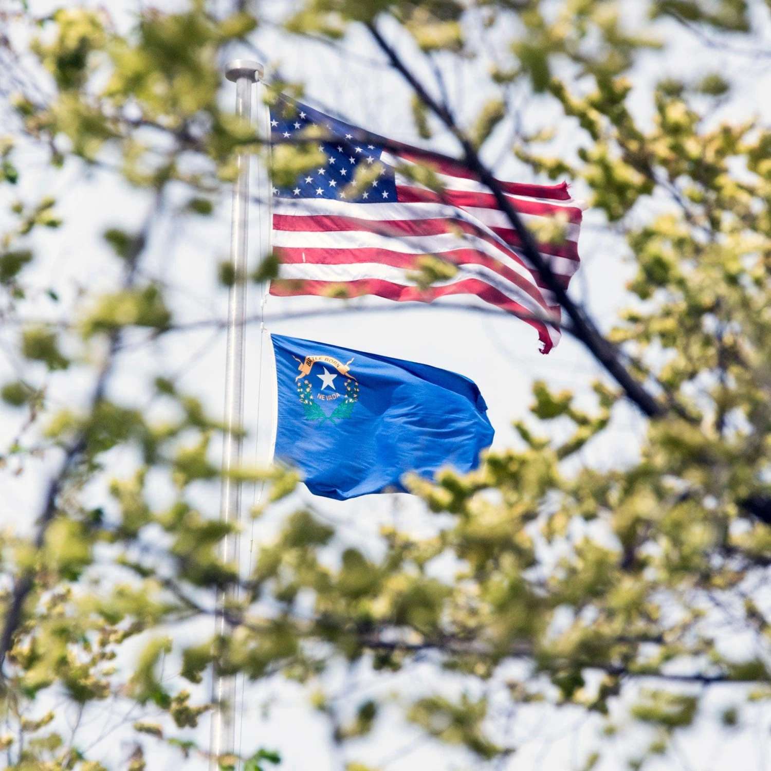 Nevada Flag - Image 3