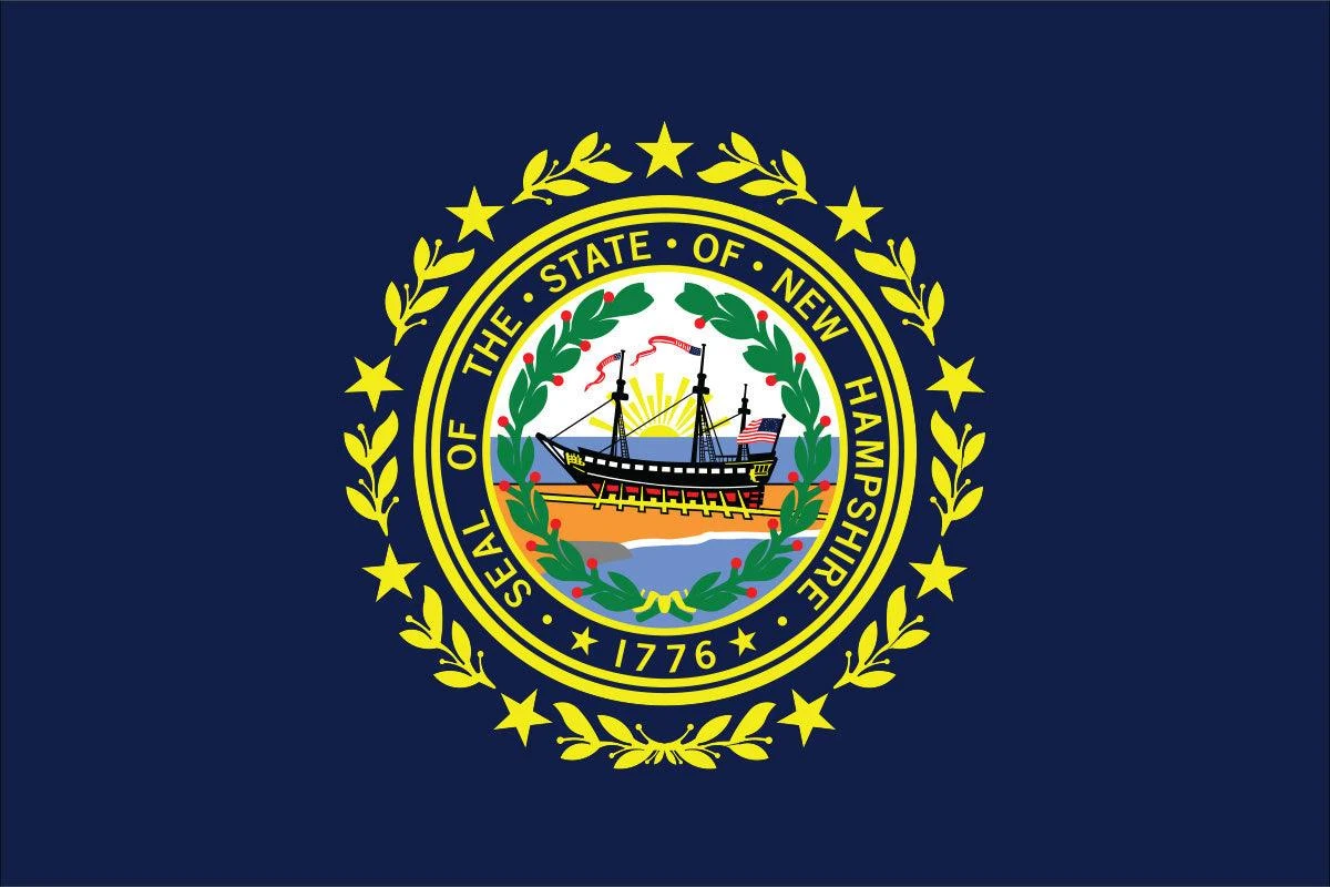 New Hampshire Flag - Image 2