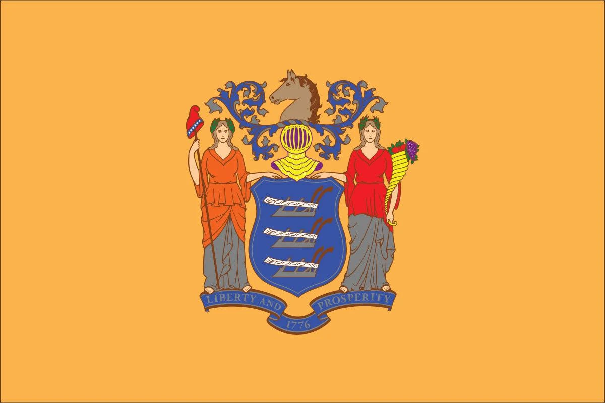 New Jersey Flag - Image 2