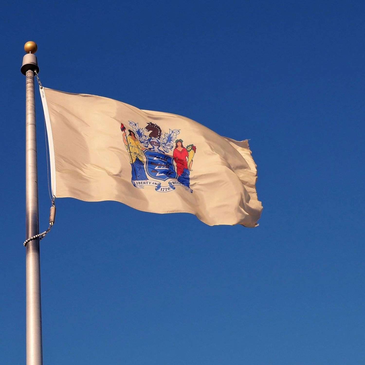 New Jersey Flag - Image 3