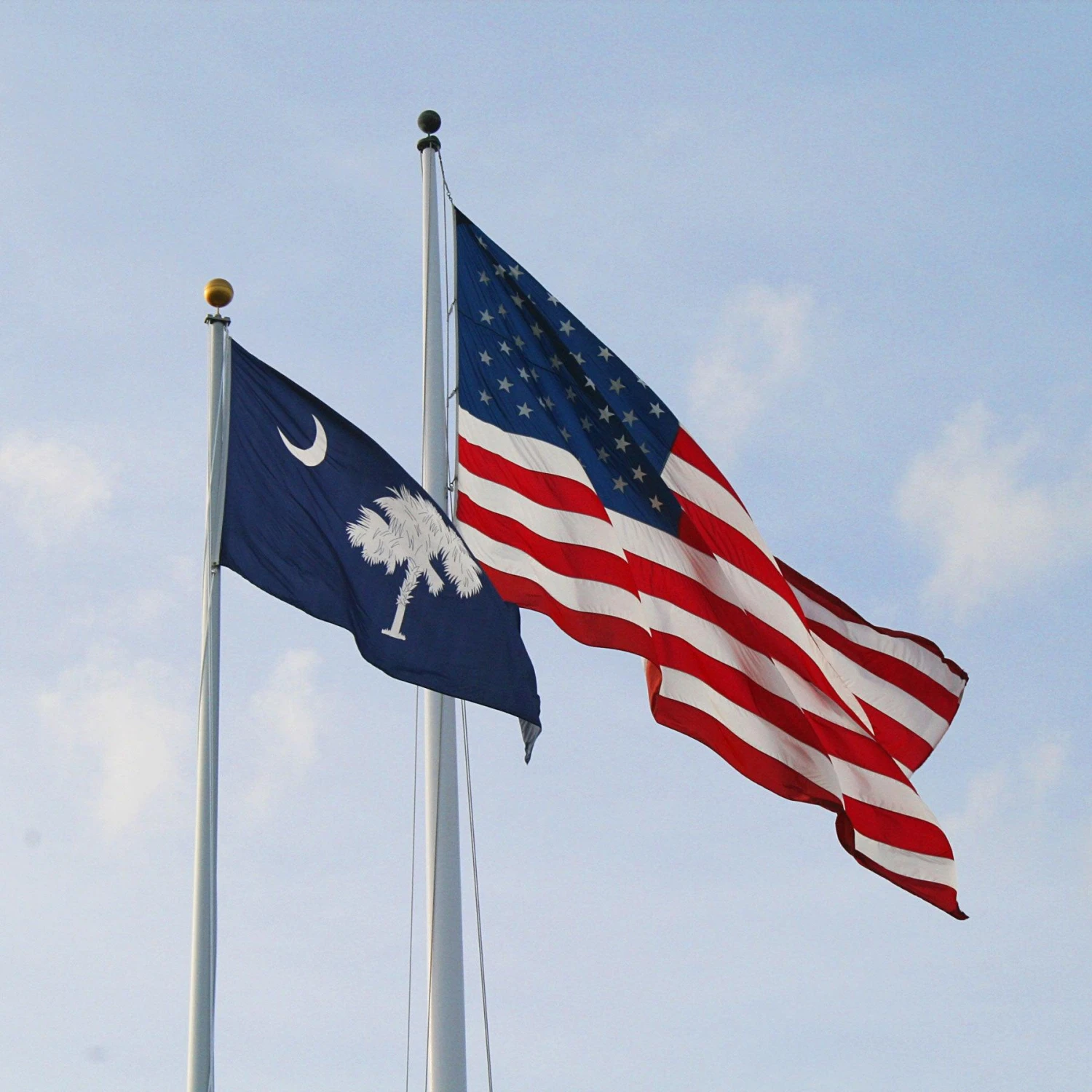 South Carolina Flag - Image 3