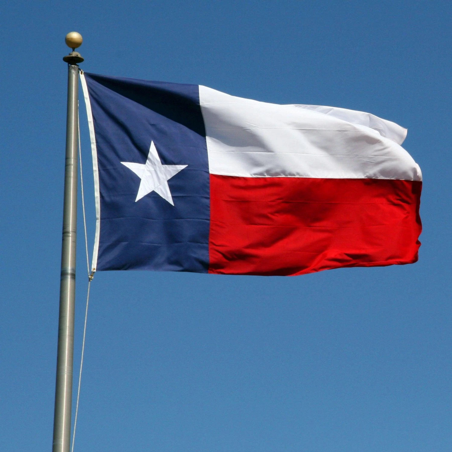Texas Flag (Fully Sewn Design) - Image 3