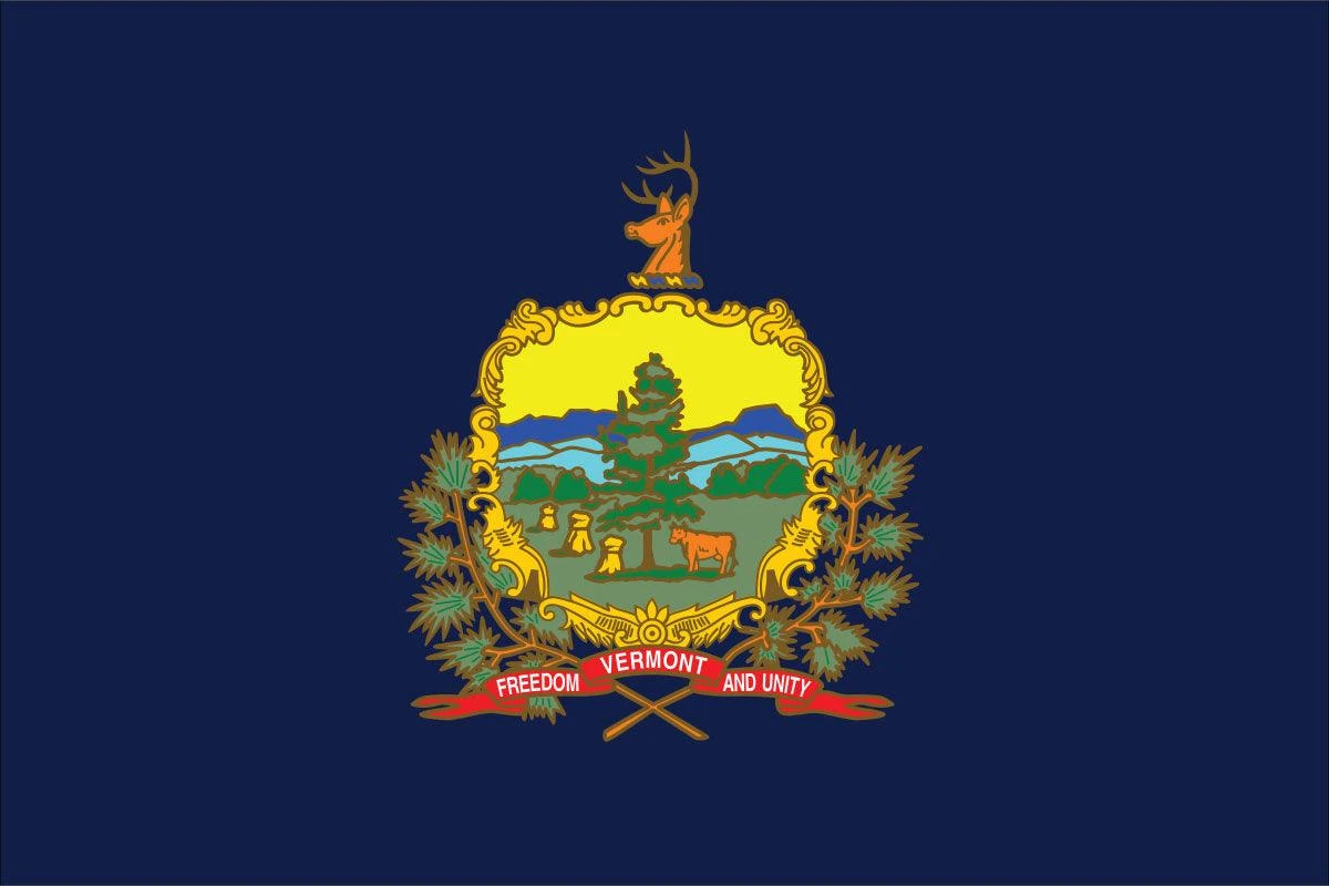 Vermont Flag - Image 2