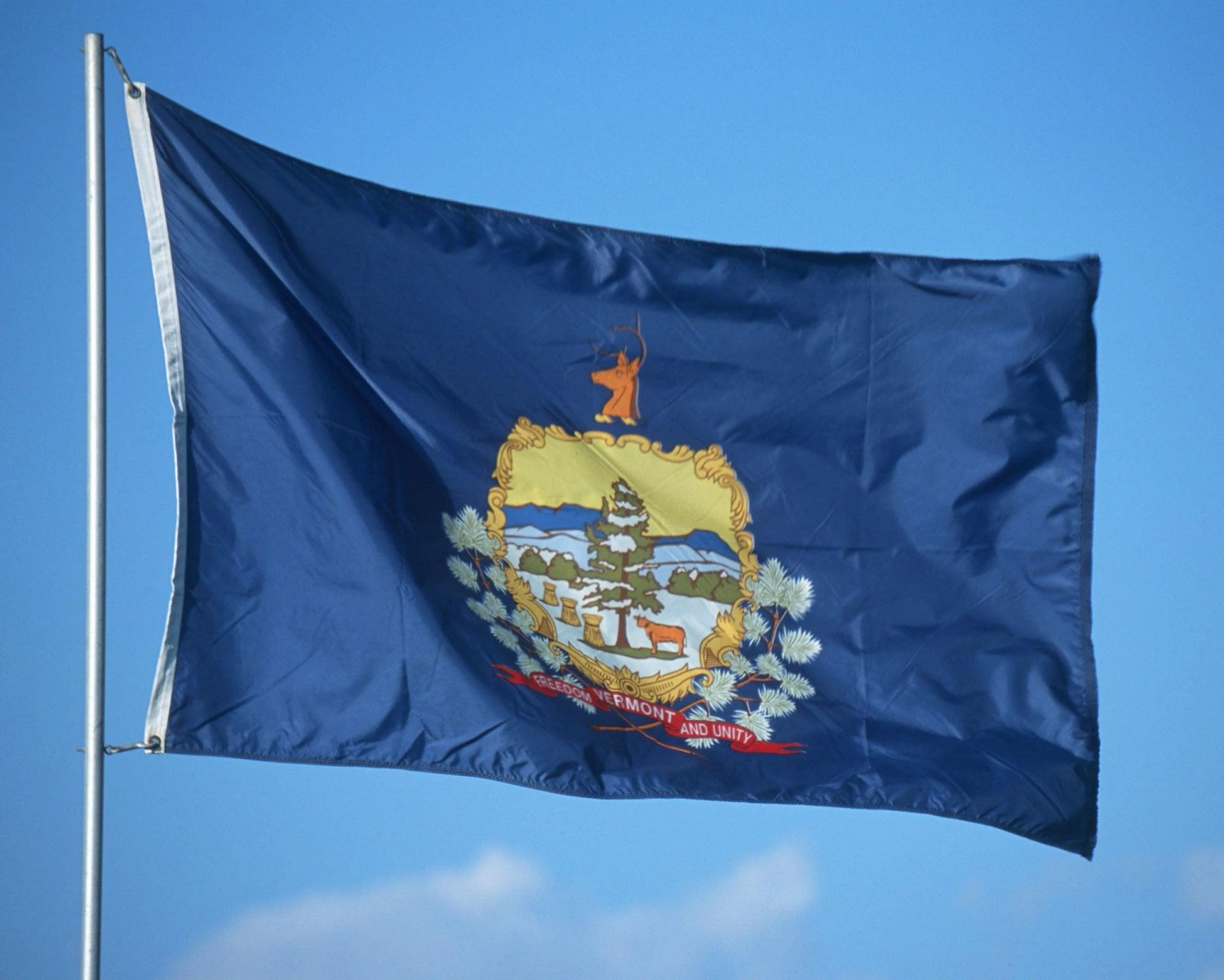 Vermont Flag - Image 3