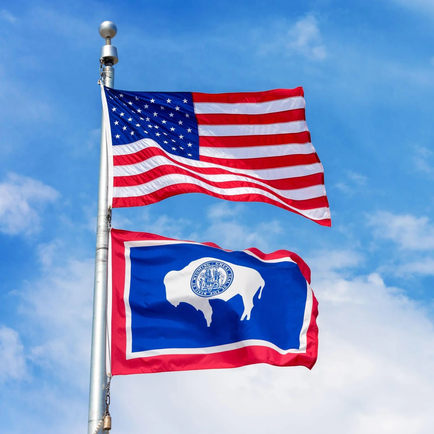 Wyoming Flag - Image 3